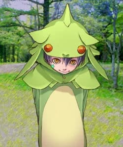 少年