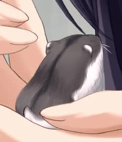 チャミ
