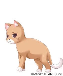 ボレロ