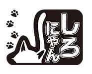 しろにゃん