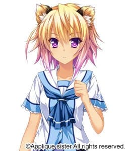 屏風 てとら