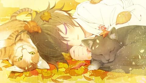 https://images.yurari.moe/images/5fd1ebf3-5bdc-46c9-b699-53ce226987f6.webp