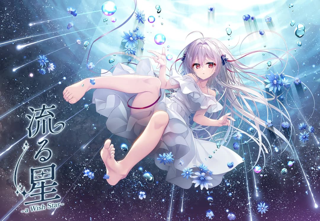 流る星 -a Wish Star-