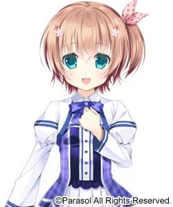 蒼井 遙