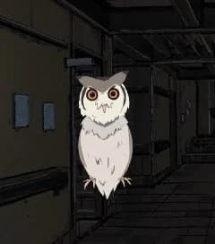 シュコ