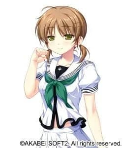 夏目朝顔