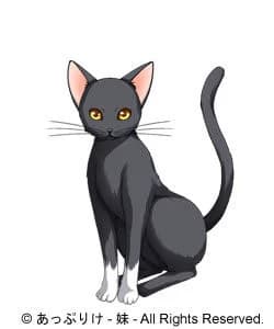 ノエル