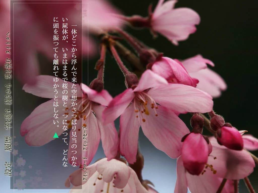 https://images.yurari.moe/images/701ba6a7-987e-42d4-9e7f-be136f7d14a8.webp