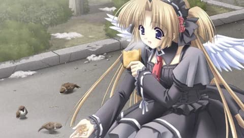 https://images.yurari.moe/images/7037b847-b5d5-493d-b925-b0c07c2afc25.webp