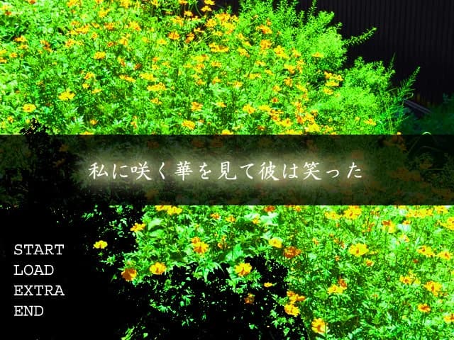 https://images.yurari.moe/images/70b9a5f9-d7a7-4d36-9476-637066f0c7a3.webp
