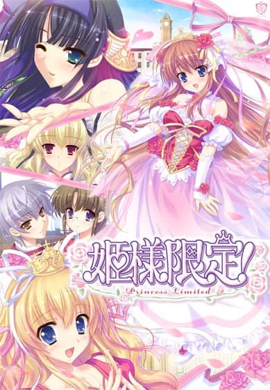 姫様限定！～Princess Limited～