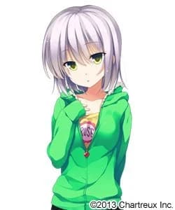 四条珊瑚