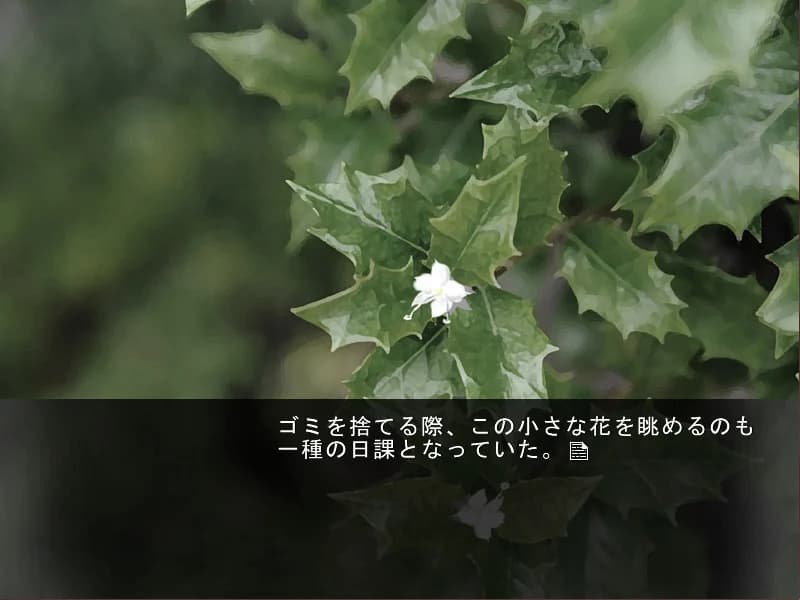 https://images.yurari.moe/images/77ebeb36-5876-4186-ad62-59d135de219f.webp