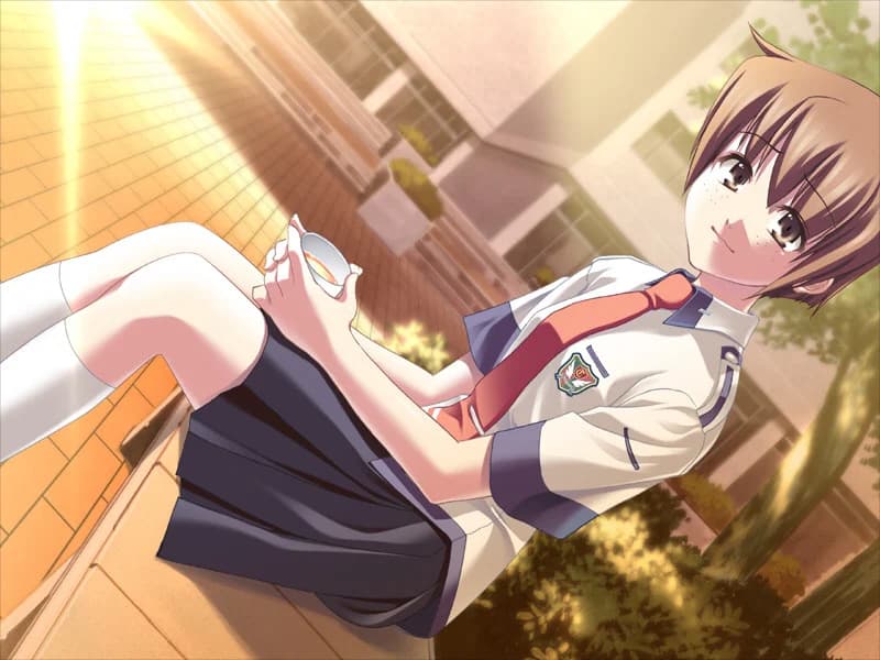 https://images.yurari.moe/images/7cd574c9-2b04-4ab0-9fb7-1f4341933e37.webp