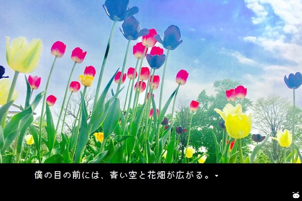 https://images.yurari.moe/images/7e0b8c05-8bb5-4cf1-bd35-5be7a69b11aa.webp