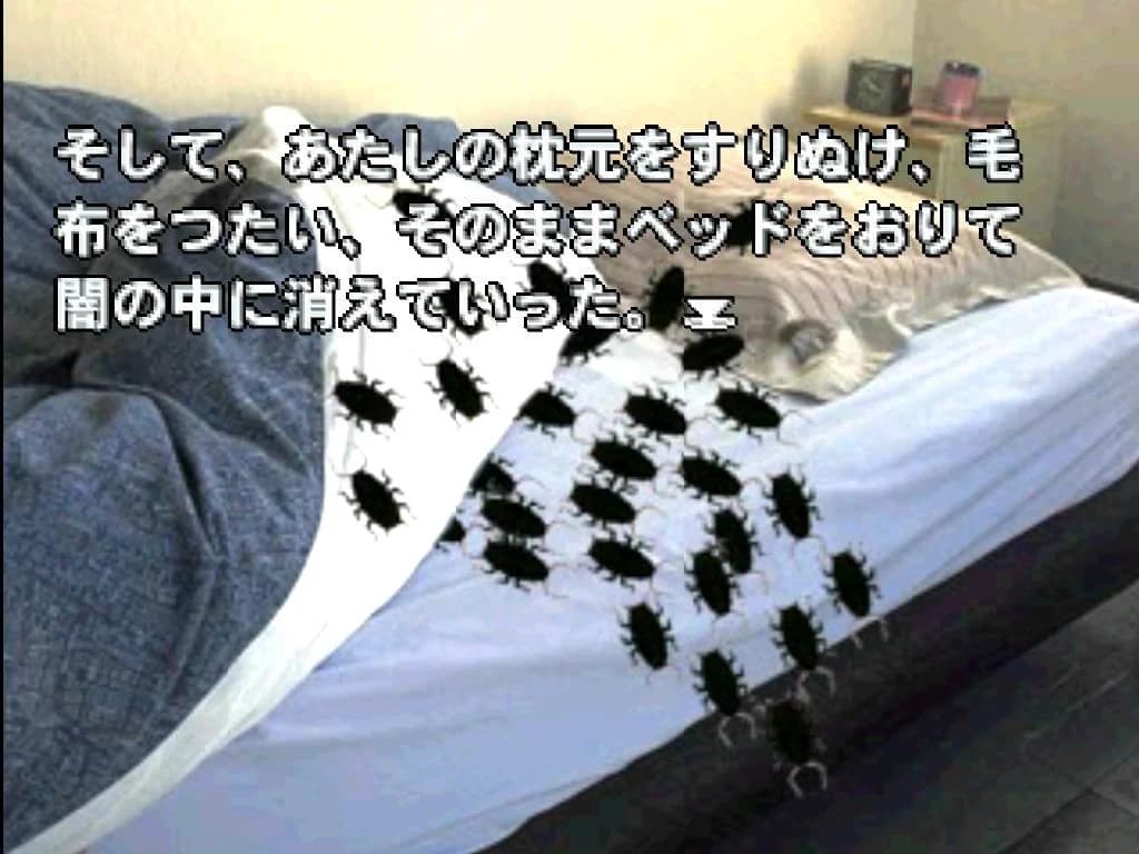 https://images.yurari.moe/images/8043b8ca-ef81-4c9c-a8c0-4202b2bbabaf.webp