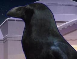 アルベールA.A.
