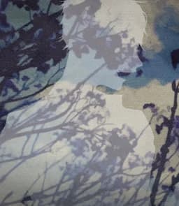 神谷 響也