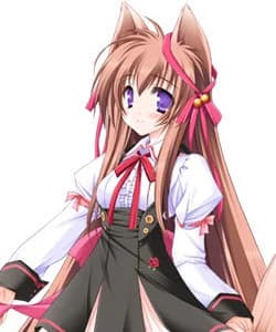 泉户真白