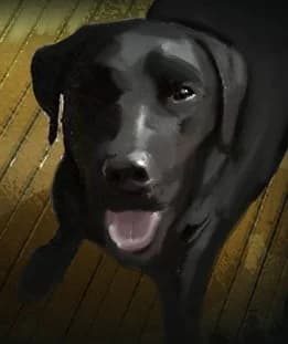 ワイト