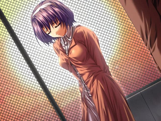 https://images.yurari.moe/images/87a27125-40df-409d-b679-6c58d65b23e2.webp