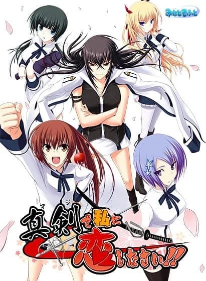 真剣で私に恋しなさい!!