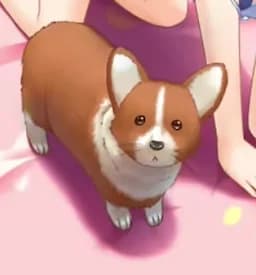 Oosumi