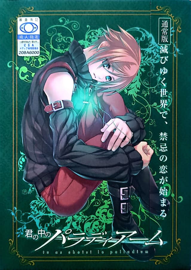君の中のパラディアーム