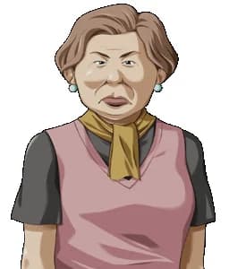 店のおばちゃん