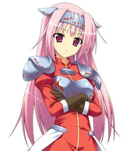 内藤 淡華