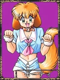 波蒂