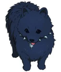 Ren