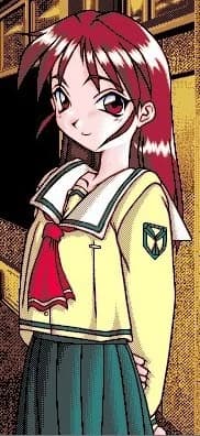 新城纱织