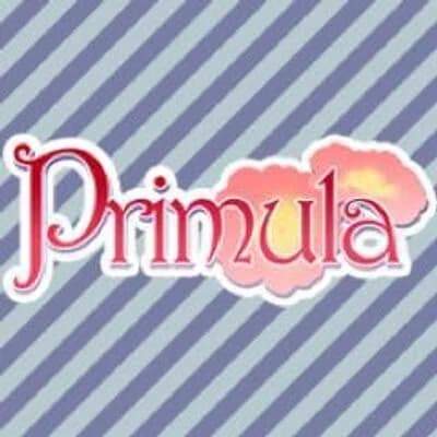 Primula