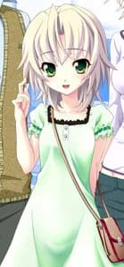 Kagamigawa Noel
