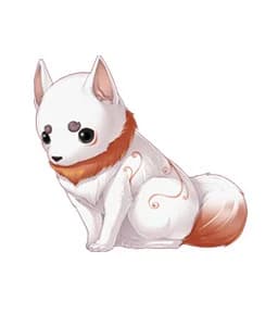 Koma