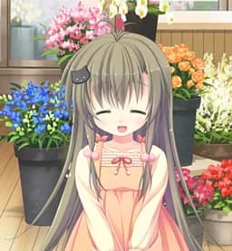 Haruno