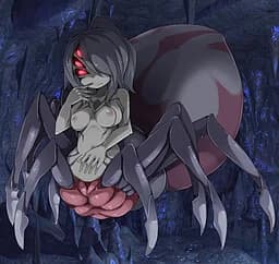 アラクネロード