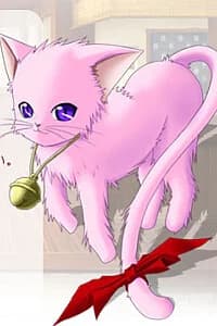 Shiruko