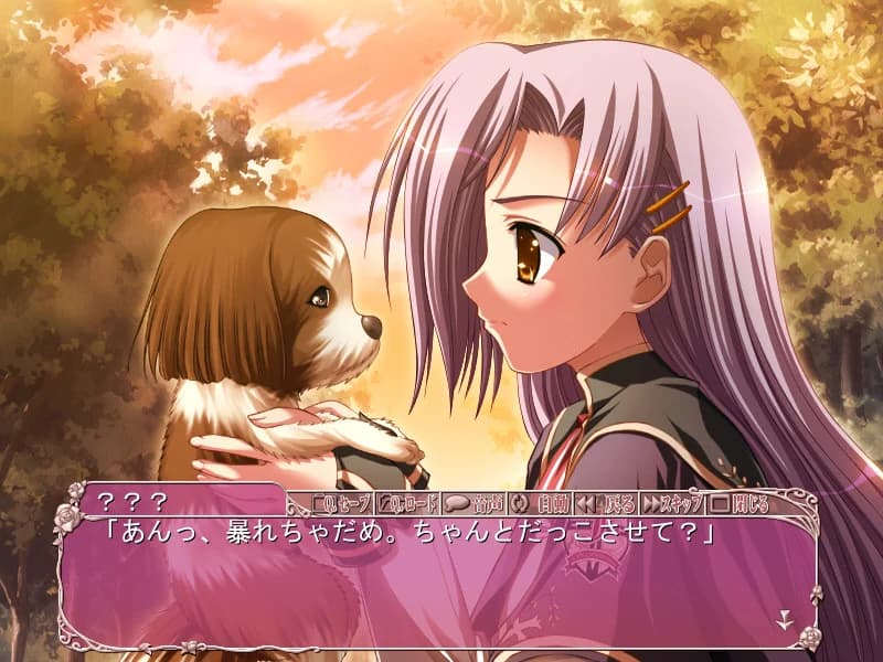https://images.yurari.moe/images/ac4a70ab-6597-4837-afa8-26d20f577f5d.webp