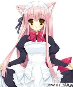 七枷 ギズモ