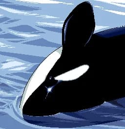 ジジ