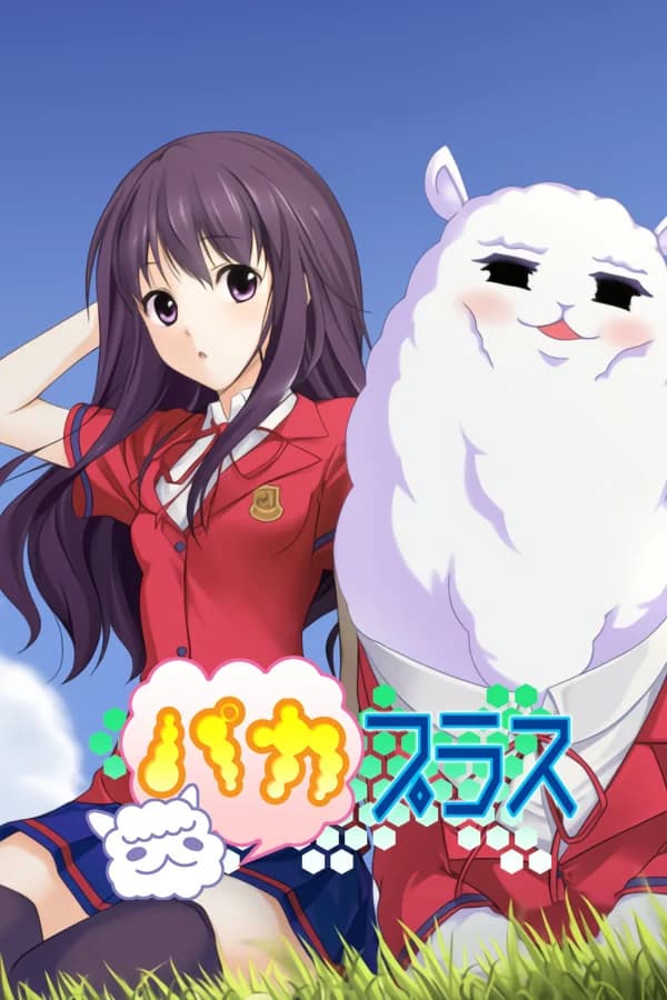 パカプラス