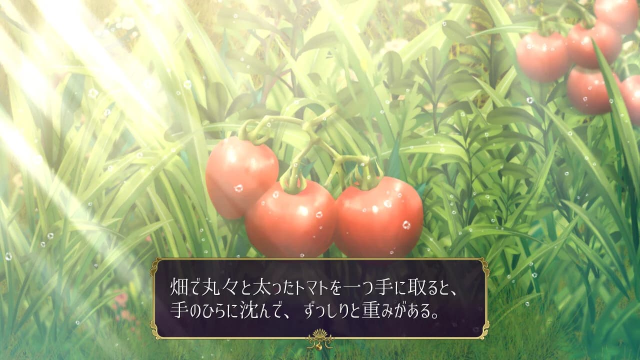 https://images.yurari.moe/images/afaf8e87-b151-463c-bfbe-de368bbe60f5.webp