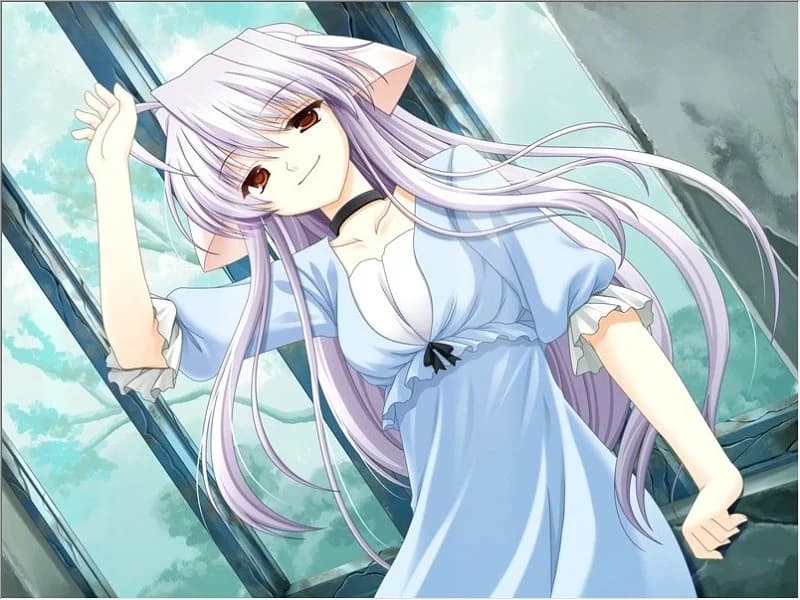 https://images.yurari.moe/images/b18f6cf1-6b06-4664-a71f-9cd069111764.webp