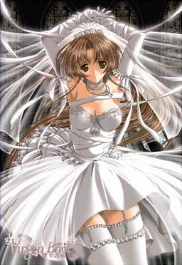 Virgin Bride～堕ちた花嫁～