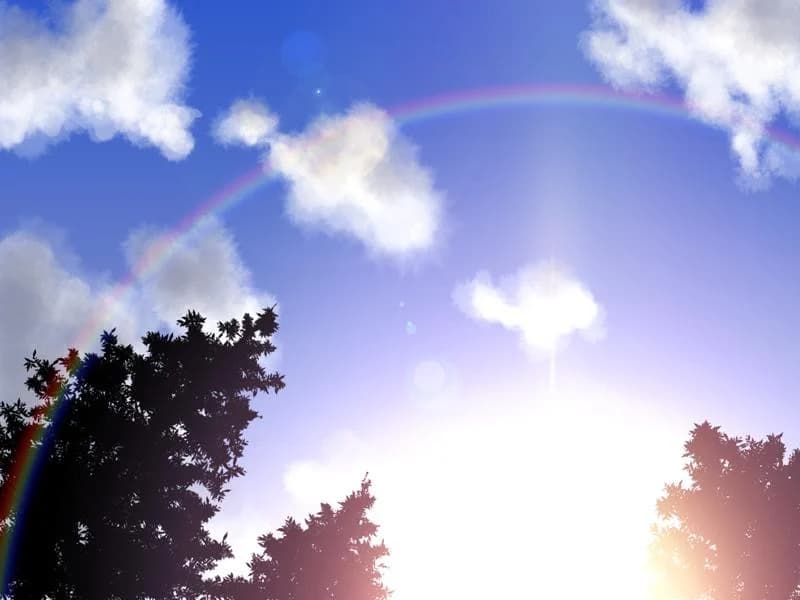 https://images.yurari.moe/images/ba37c046-2713-4158-a550-c133a64fd926.webp