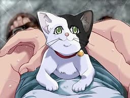 Inzo