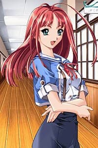Nanohana Meguri