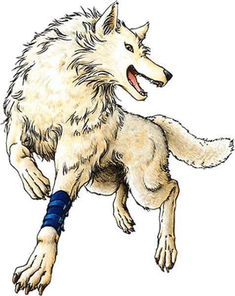 シロ